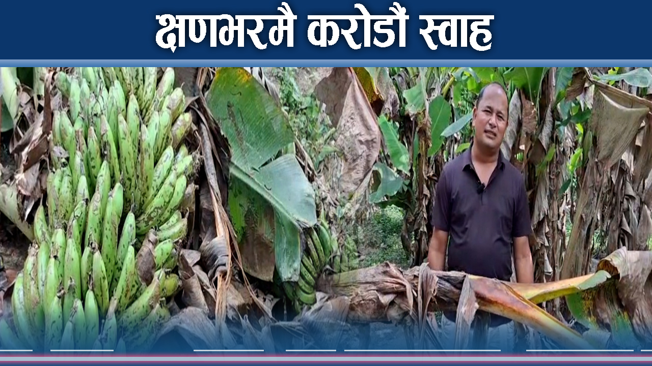 क्षणभरमै एकै किसानको करोडौं स्वाह, सरकार वेमतलबी बनेको गुनासो