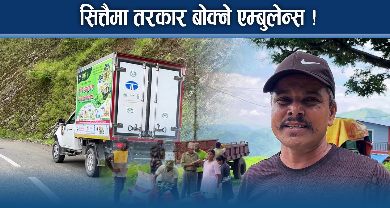 कृषि एम्बुलेन्सले पोखराका किसान मख्ख, बारीबाटै तरकारी किन्ने महानगरको योजना 