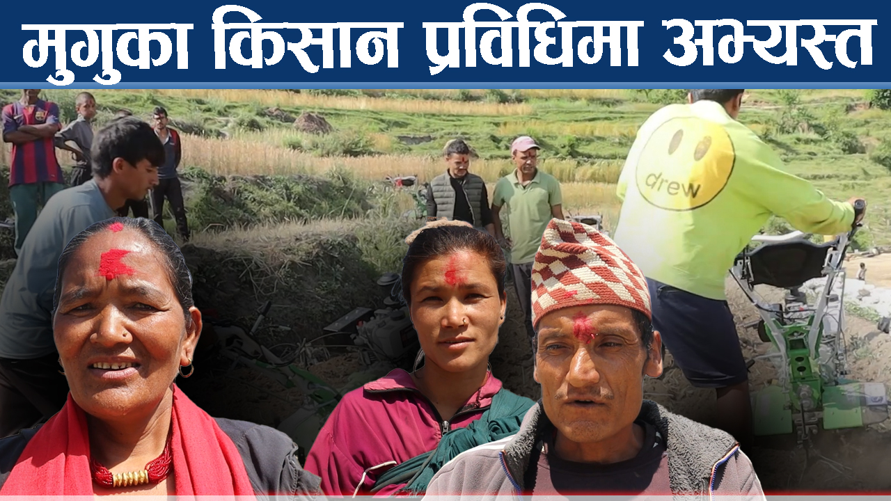 सरकारी अनुदानले किसानलाई राहत, प्रविधिमैत्री खेतीमा छलाङ