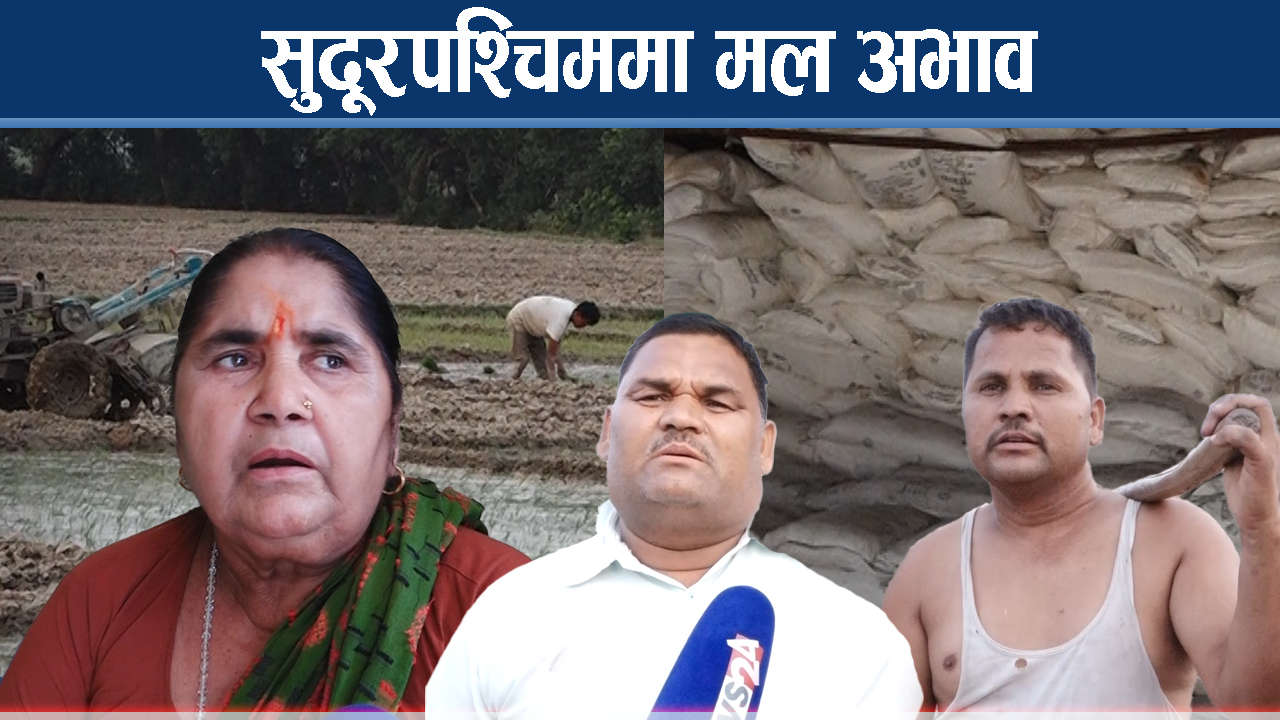 मल र सिचाई नहुँदा सुदूरपश्चिममा किसान सधैं समस्यामा