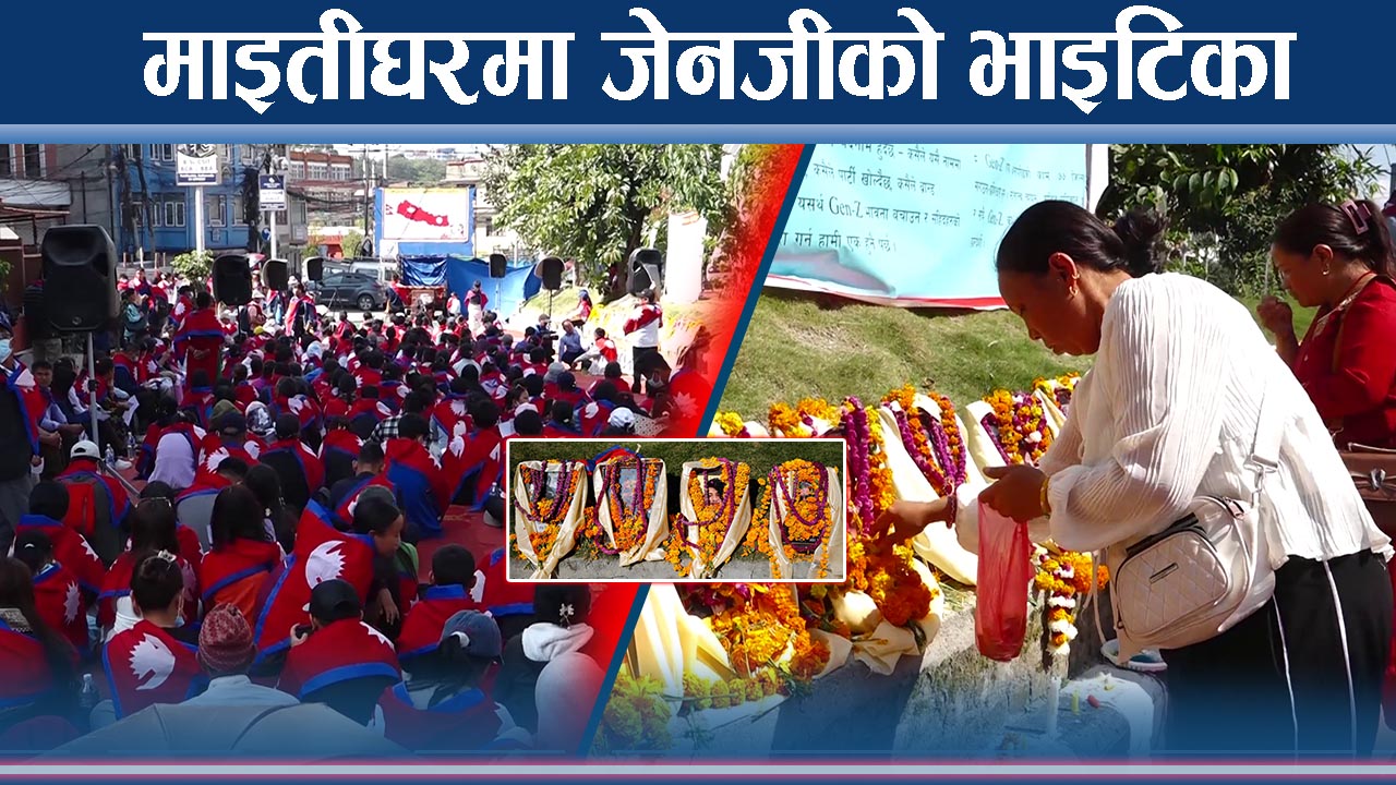 नेतादेखि कलाकारसम्मले मनाए भाइटीका, जेनजी प्रतिनिधि निरास