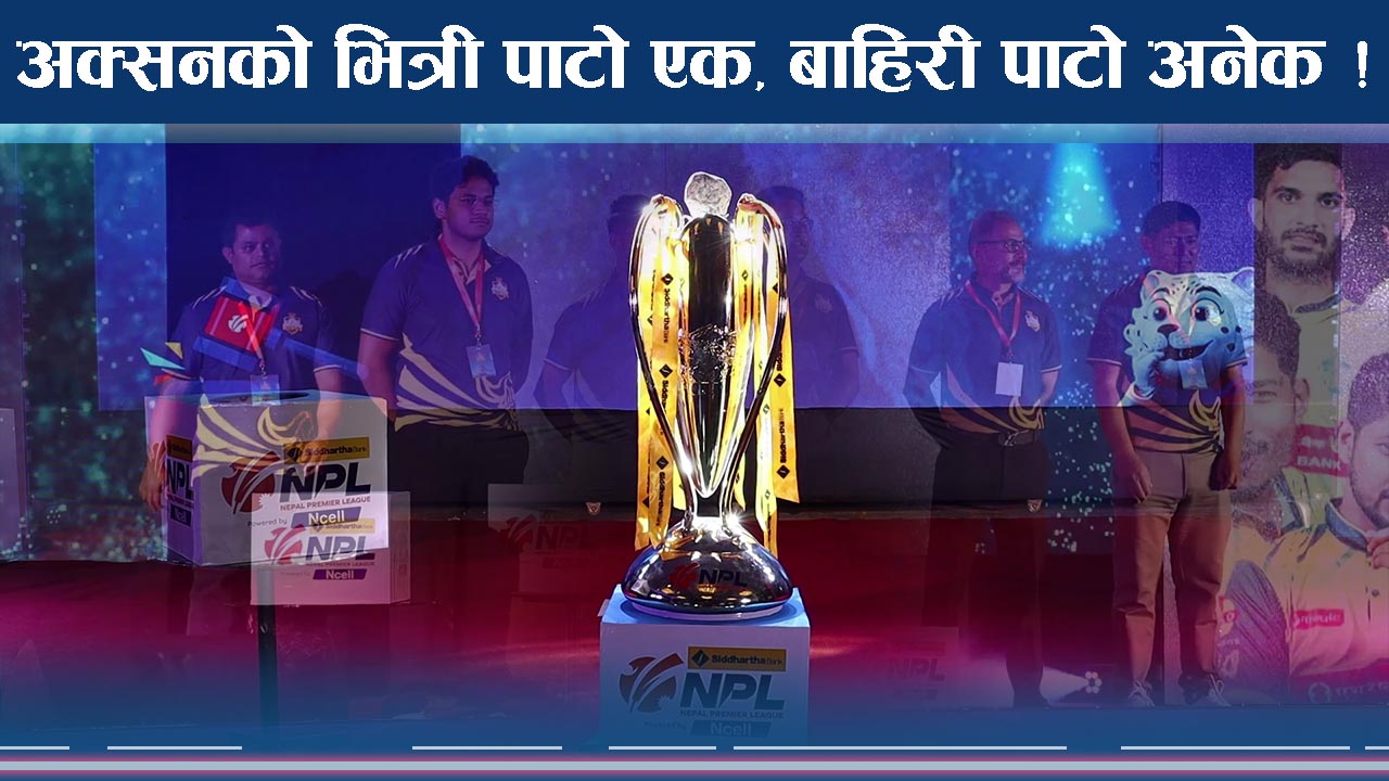 एनपीएल अक्सनले चम्किए क्रिकेटर, कुन टिमको भविष्य कस्तो ?