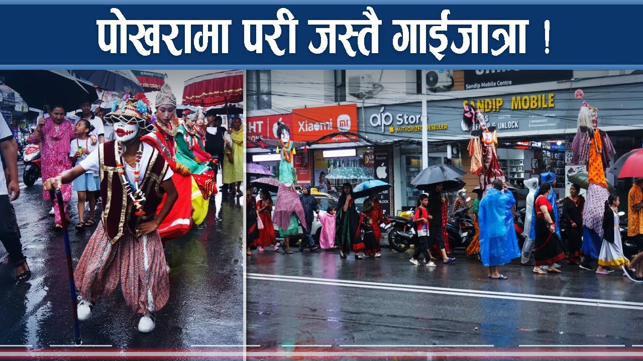 पोखरामा अनौठो गाईजात्रा, नृत्य गर्न परीहरु !