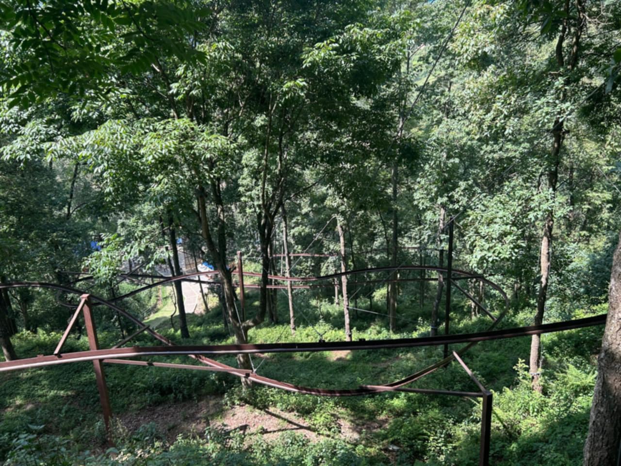 sujan-2-1749632882.jpg